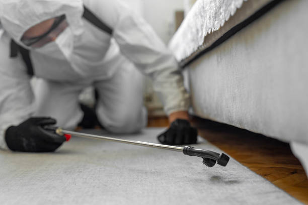 Professional Bed Bug Control technician working in Broadview Park, FL